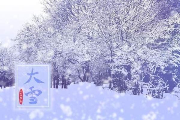 2017年冬月的命运思考：探寻生命的深层意蕴与智慧