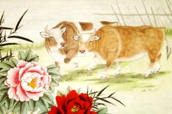 1985年属牛：命运与性格的深度解析