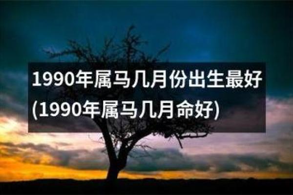 2026年马年命理详解：属马人的命运与未来机会分析