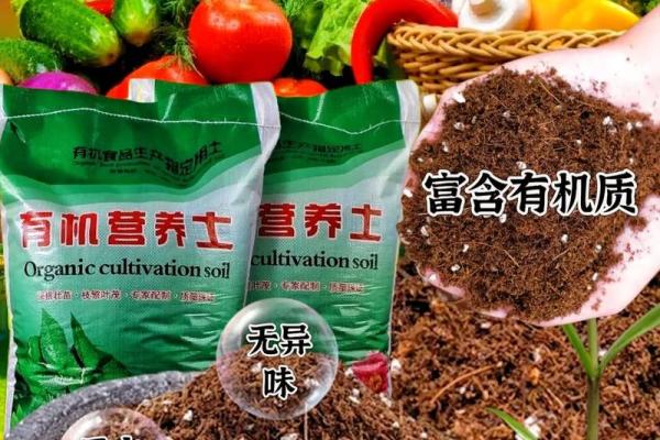 城头土命男兔最佳配偶:寻找理想伴侣的秘诀 城头土命男兔最佳配偶:寻找理想伴侣的秘诀