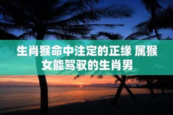 19905月出生的你，命中注定的运势与性格解析！