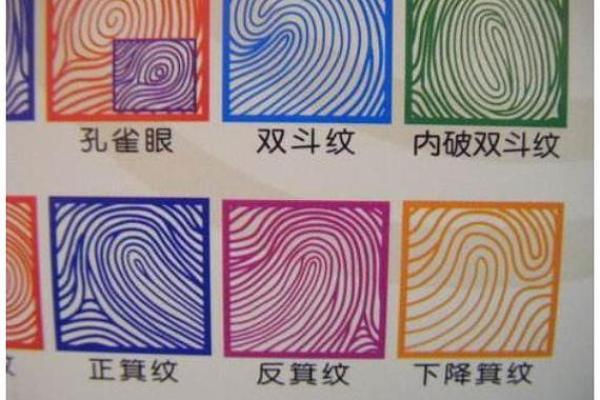 19905月出生的你,命中注定的运势与性格解析! 19905月出生的你,命中注定的运势与性格解析!