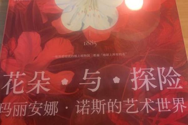 女命双官之命:荣耀与智慧的双重馈赠 女命双官之命:荣耀与智慧的双重馈赠