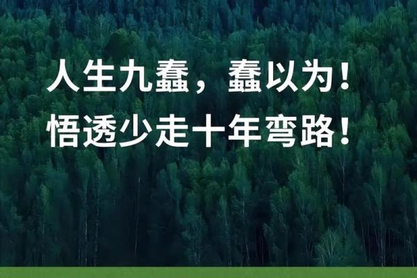 根据什么命讲什么话，智慧成语解人生之道