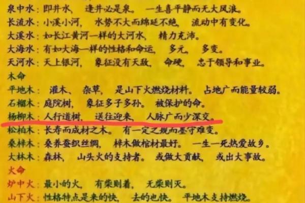 八字水命与生肖火命：命理解析与人生启示