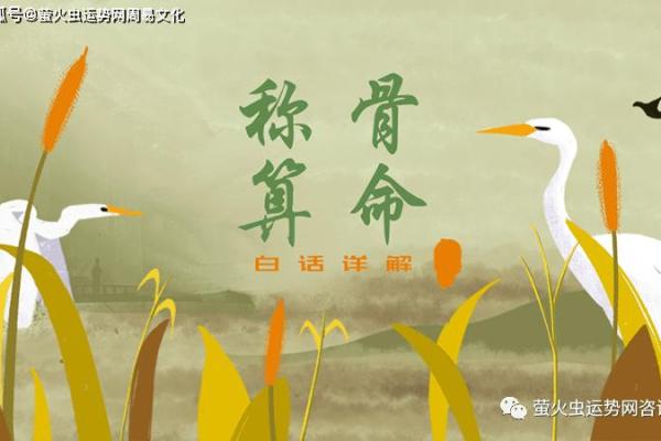 三两八钱女命解析：她们的命运与性格韵味