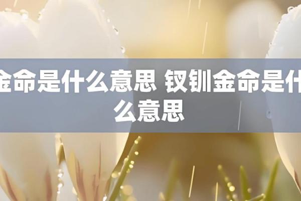 涧下水与金命的完美结合：探索命理中的幸福生活之道