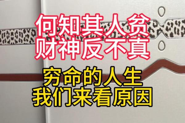 算命中的东命西命：揭开命理之谜，让你更了解生活之道
