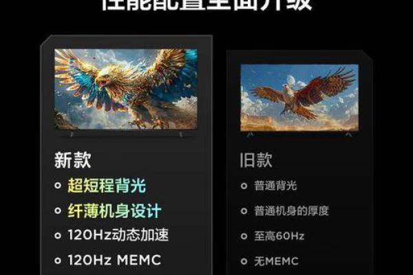 深入探索1993年2月出生的命理与人生之旅