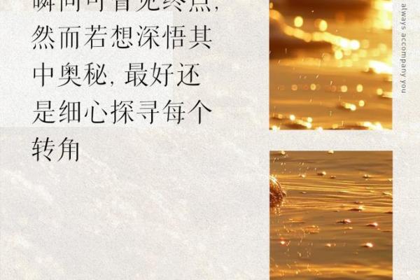 阴历626是什么命？探寻生活中的命理玄机与运势之道
