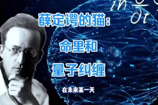 19800726出生的命运解析：探索人生的奥秘与魅力