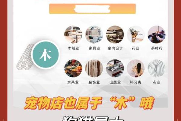 木命与金命相结合，财运亨通的奥秘探寻