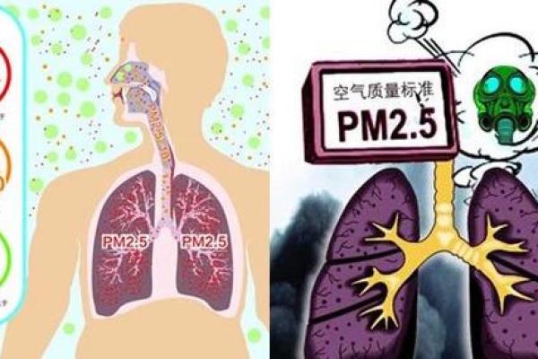 胃病与生命质量的关系：如何守护健康的胃，延续美好生活
