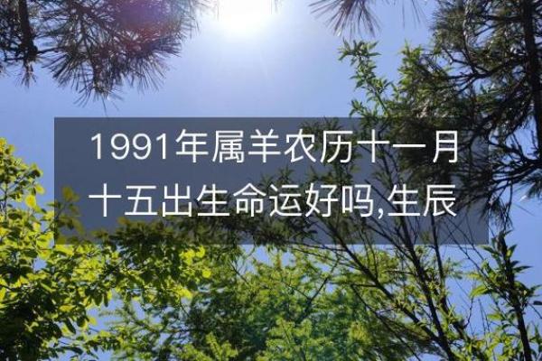 解析1991年12月31日出生者的命运与性格特征