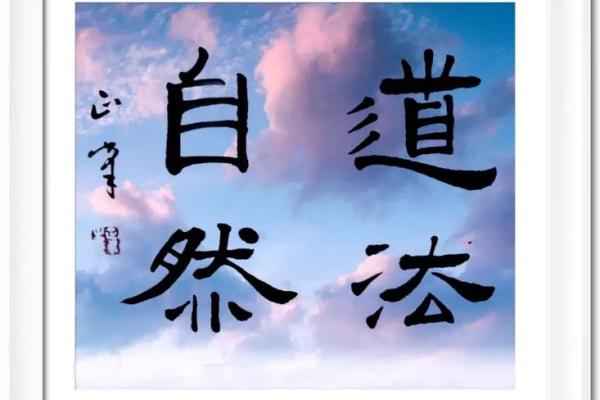 养生理念：以命养命，修心养性之道
