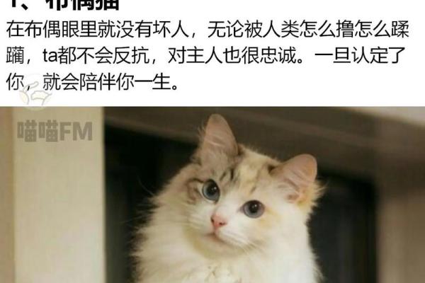 一九九四狗男命运解析：生命中的忠诚与智慧的结合