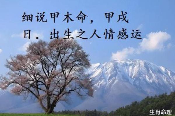 探讨乙卯与乙亥月出生之命理特点及人生之路