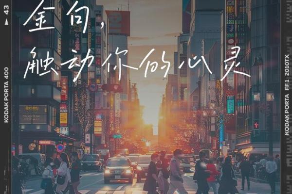 记忆深处的触动：1981年5.15之日的故事