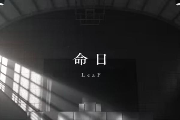 探索琴命座二命的神秘力量与应用