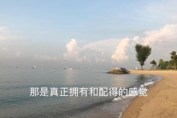 探秘19940316命理：你的生辰如何影响人生轨迹？