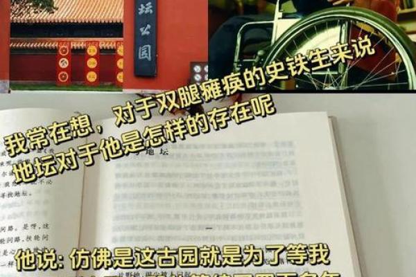 一九七零属狗的人命运解析：机遇与挑战并存的人生旅程