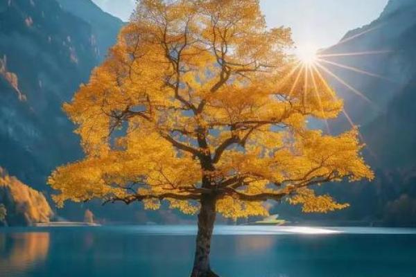 金命缺水的你，适合什么网名？让我们为你揭秘！