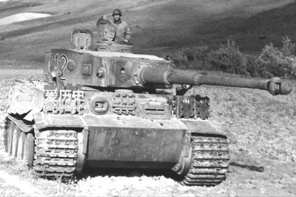 1997年出生的我：命运之路与成长故事