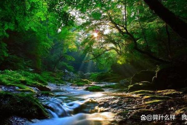 金命缺水的你，适合什么网名？让我们为你揭秘！