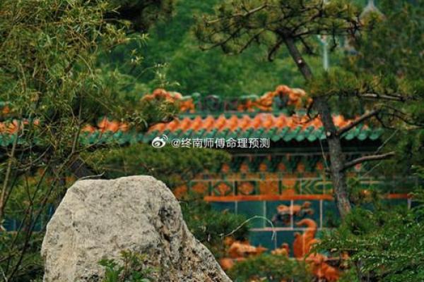 五两二两命详解：命理中的深意与人生的启示