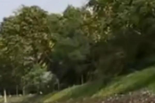 06年是什么命？开启你命运之旅的秘密探索