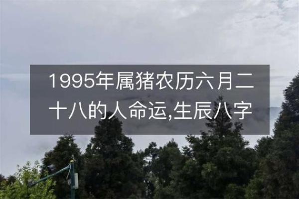 1995年属猪的命运解析：生活中的机遇与挑战