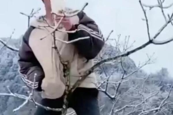 命中缺木土命的秘密与人生解读，如何逆转命运？