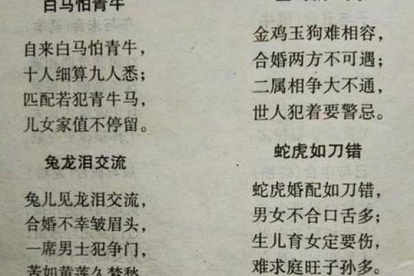 男命占女命的深意：探讨八字命理中的男女关系