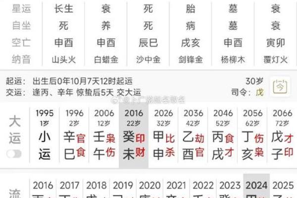 2029年属鸡，八字命理解析与运势展望