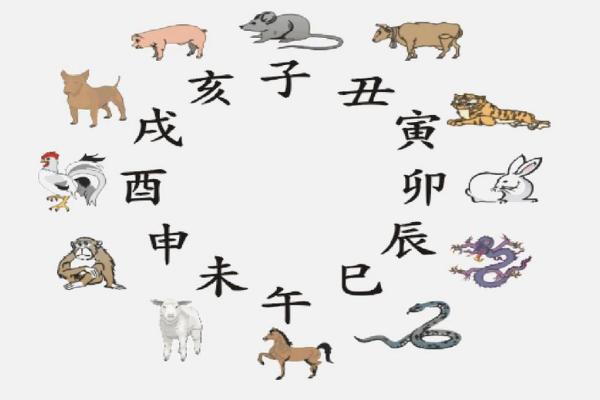 2023年生肖运势解析：哪些生肖命好，如何把握机遇？