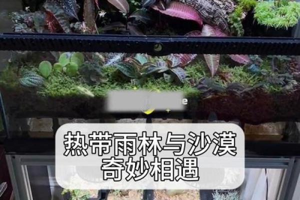 1970年出生人：宅命与命理的奇妙相遇