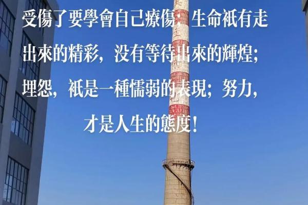 2018腊月出生命运解析：寻觅人生的光辉与方向