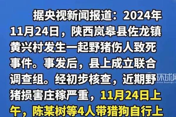 命理解析：1997年2月6日出生命运与人生的深度探讨