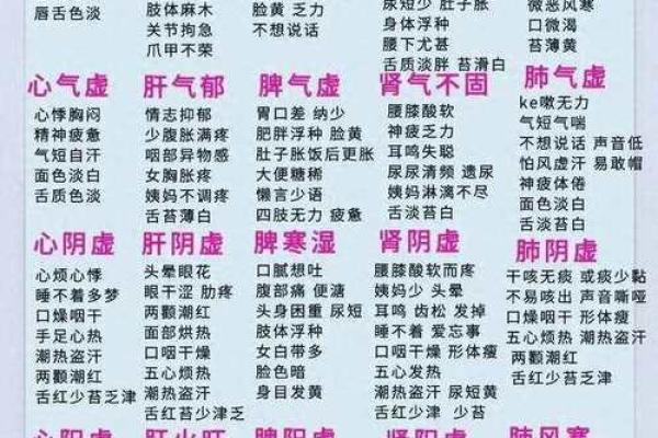 肺脾命命：探秘中医五脏背后的神秘关系与健康启示