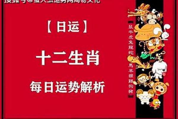 2023年属什么命？解析个人命运与生肖的深刻联系