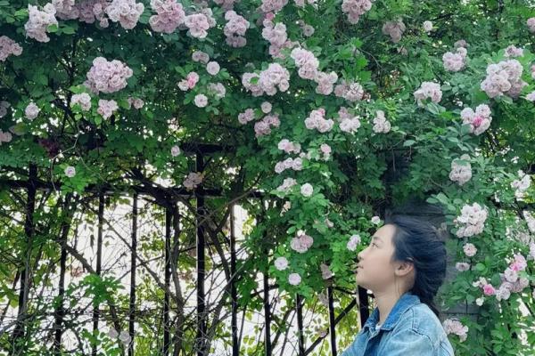 1950年出生的人生轨迹：探索与成长的命运之路