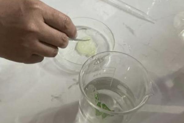 探秘半个童子命的奥秘与生活中的启示