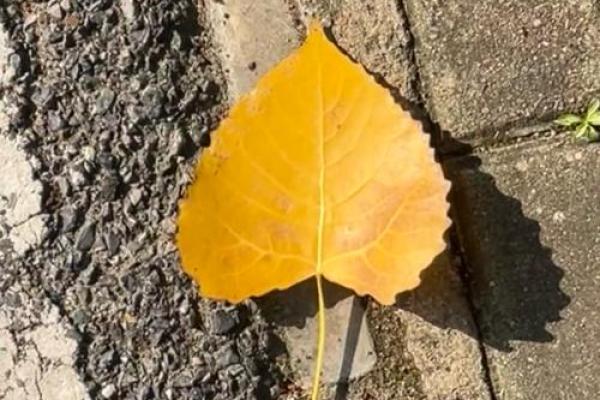 知命造命惜命：如何找到生命的意义与价值