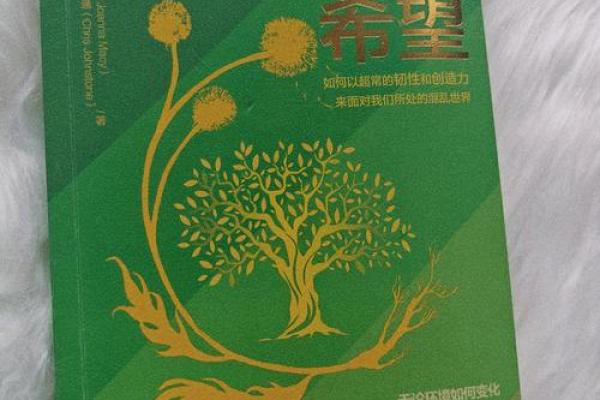 自然流产两次，该如何面对人生的转折与希望