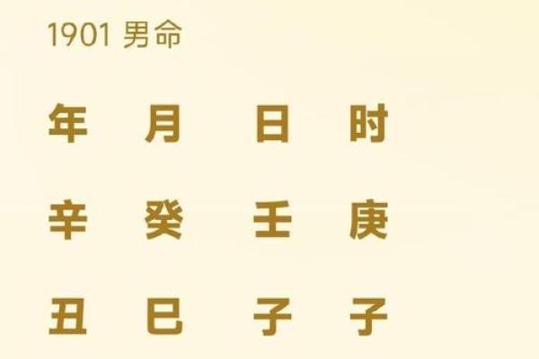 水命男：2003年出生的命运解析与生活指南