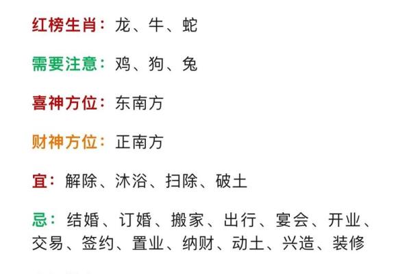 1992冬月出生的人命运解析：神秘的命理与生活运势