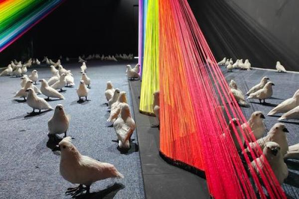 探索胜命叫“播放”的奇妙世界：一场视听的盛宴