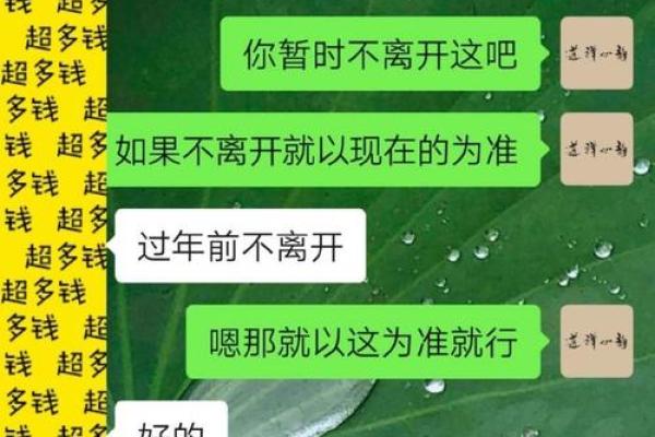 探寻命理中的童子命：揭示内心的纯真与灵性之旅