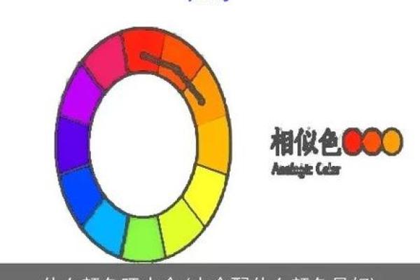 1992腊月出生的人：解析其属于的水命特性与人生轨迹