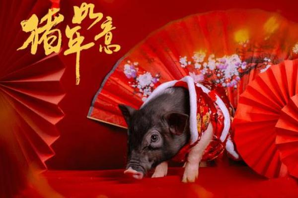 属猪人的命运解析：如何提升生活运势与幸福感？